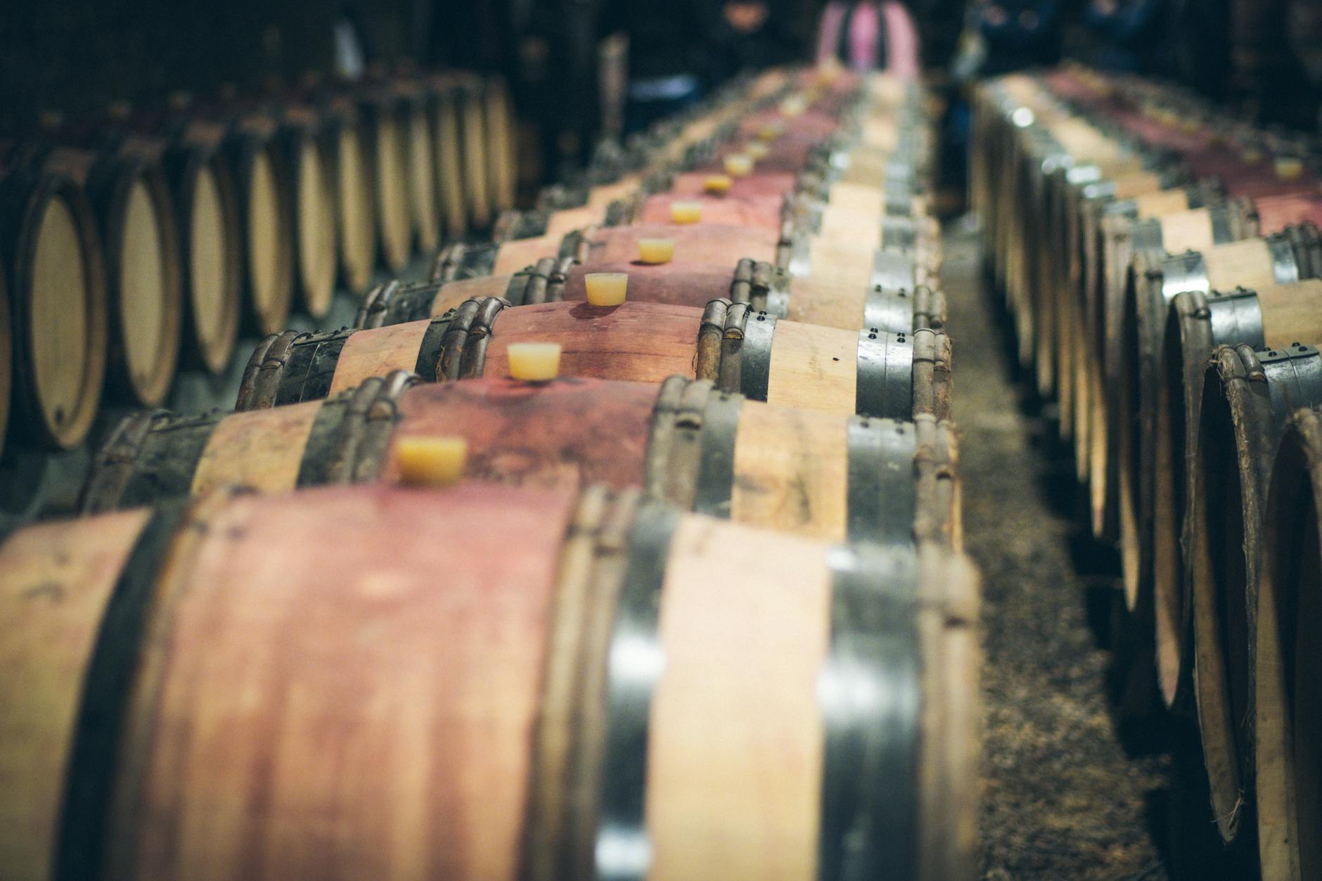 Close-up view of aligned wooden wine barrels aging in a dimly lit cellar.