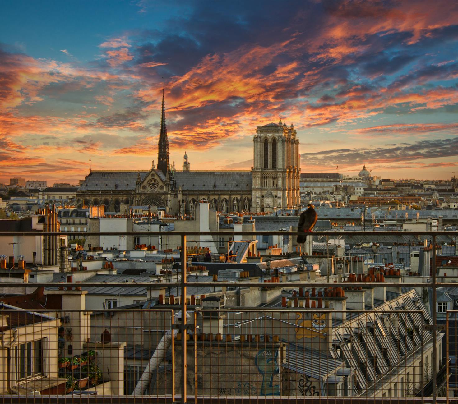 Stunning view of Notre Dame and Paris rooftops at sunset, highlighting the city's iconic skyline.