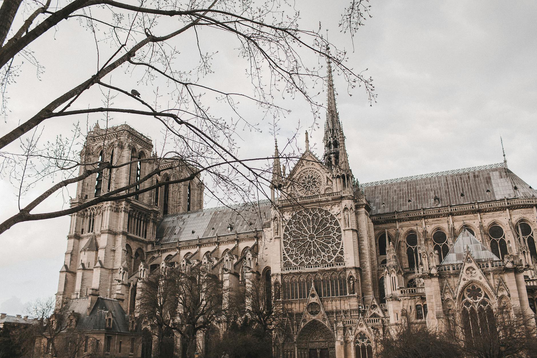Stunning view of Notre Dame Cathedral in Paris showcasing Gothic architecture and historic details.