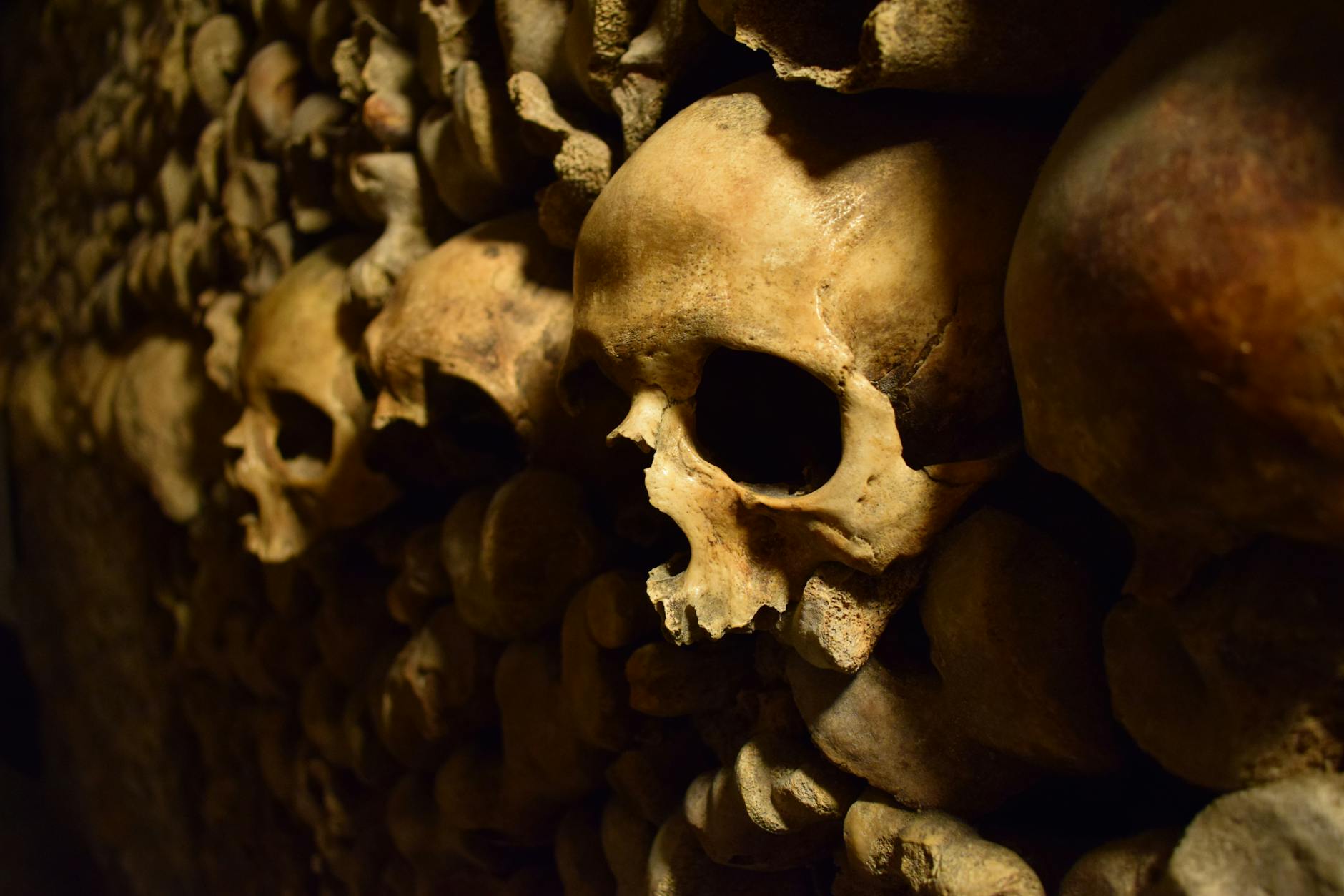 Close-up of skulls in Paris Catacombs, creating an eerie yet fascinating atmosphere.