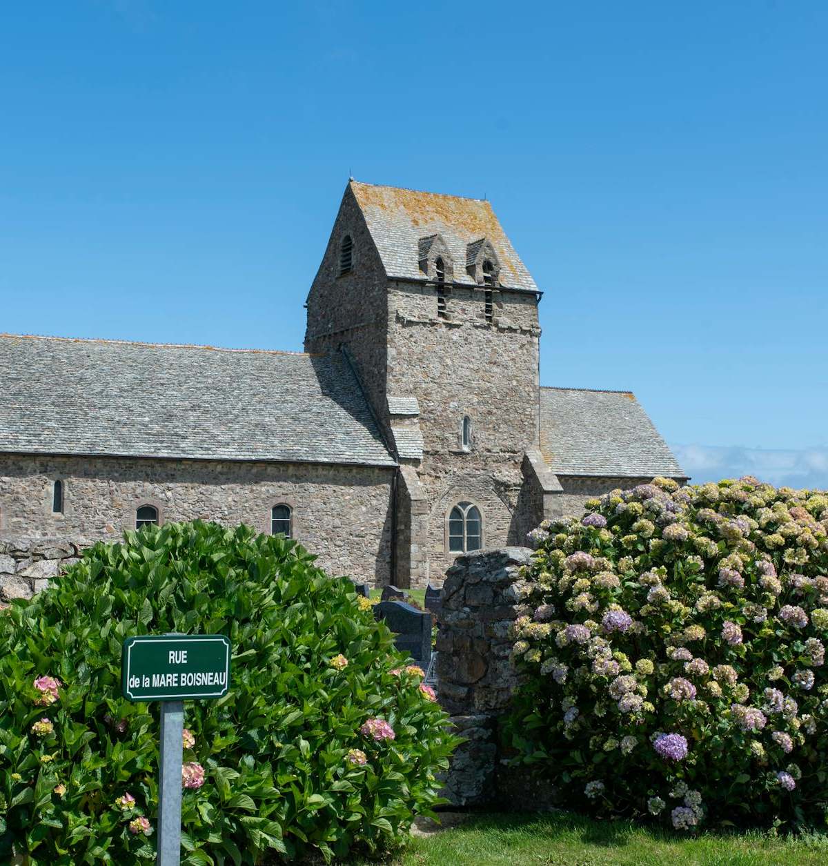 Stone church in La Hague with blooming hydrangeas, captured under a clear blue sky in summer.