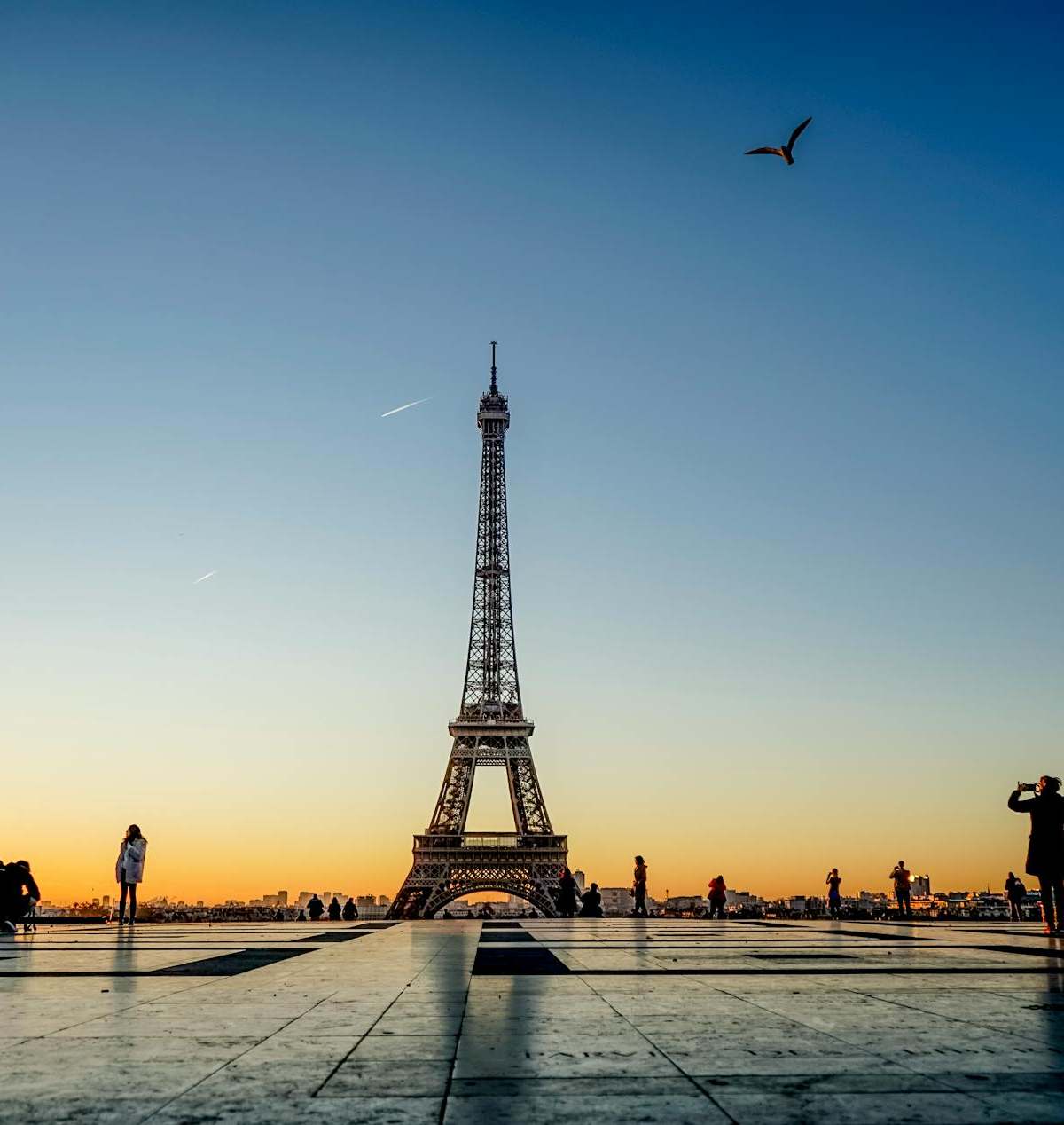 Capture of the Eiffel Tower at sunrise with silhouettes of people and birds in Paris, France.