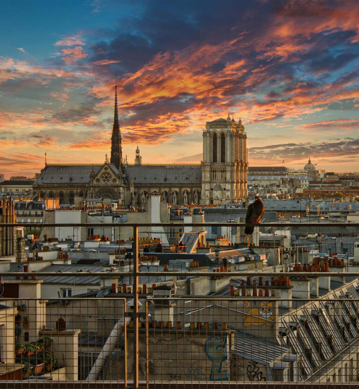 Stunning view of Notre Dame and Paris rooftops at sunset, highlighting the city's iconic skyline.