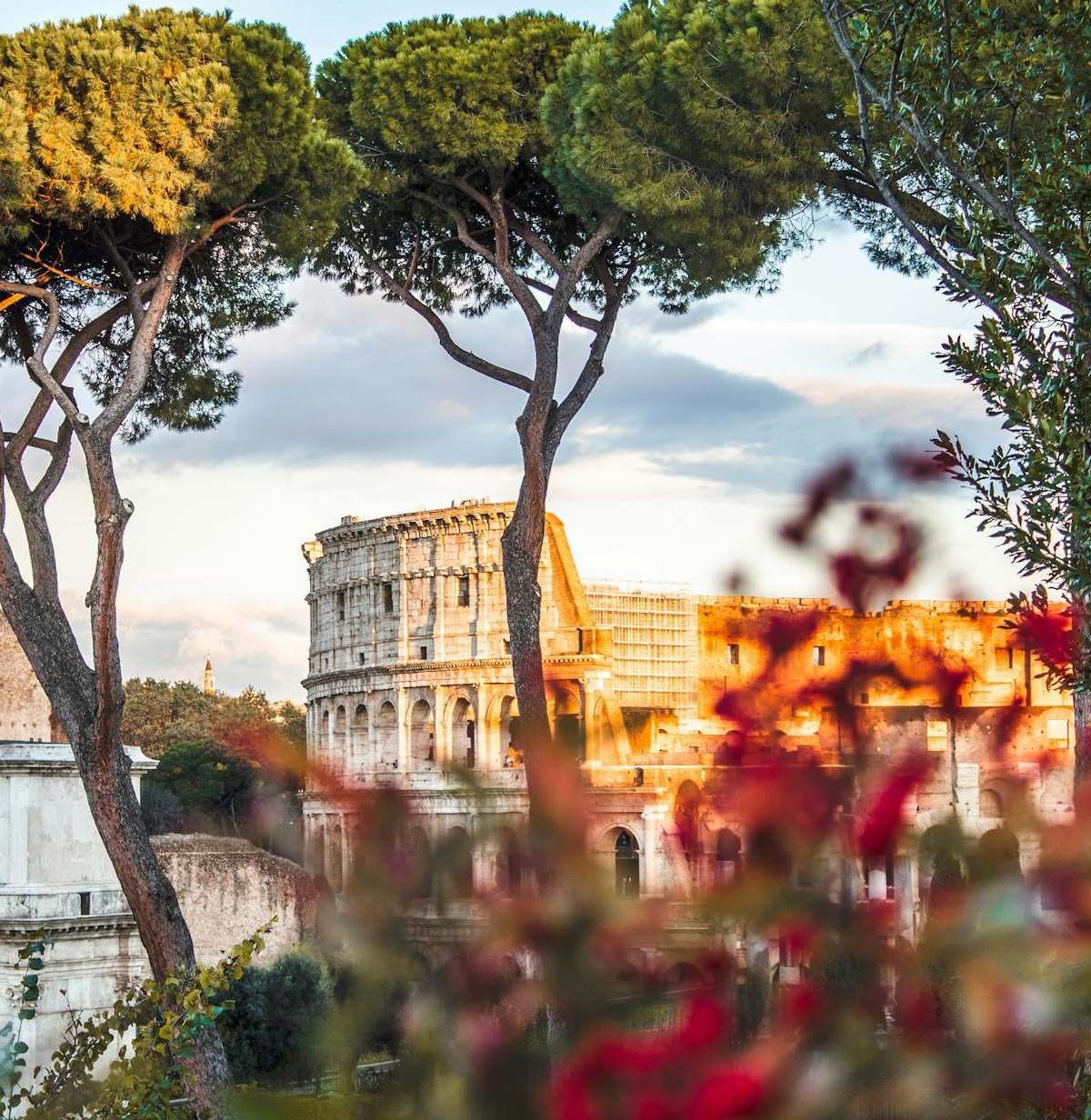 Beautiful view of the Colosseum framed by trees and flowers in Rome, Italy.