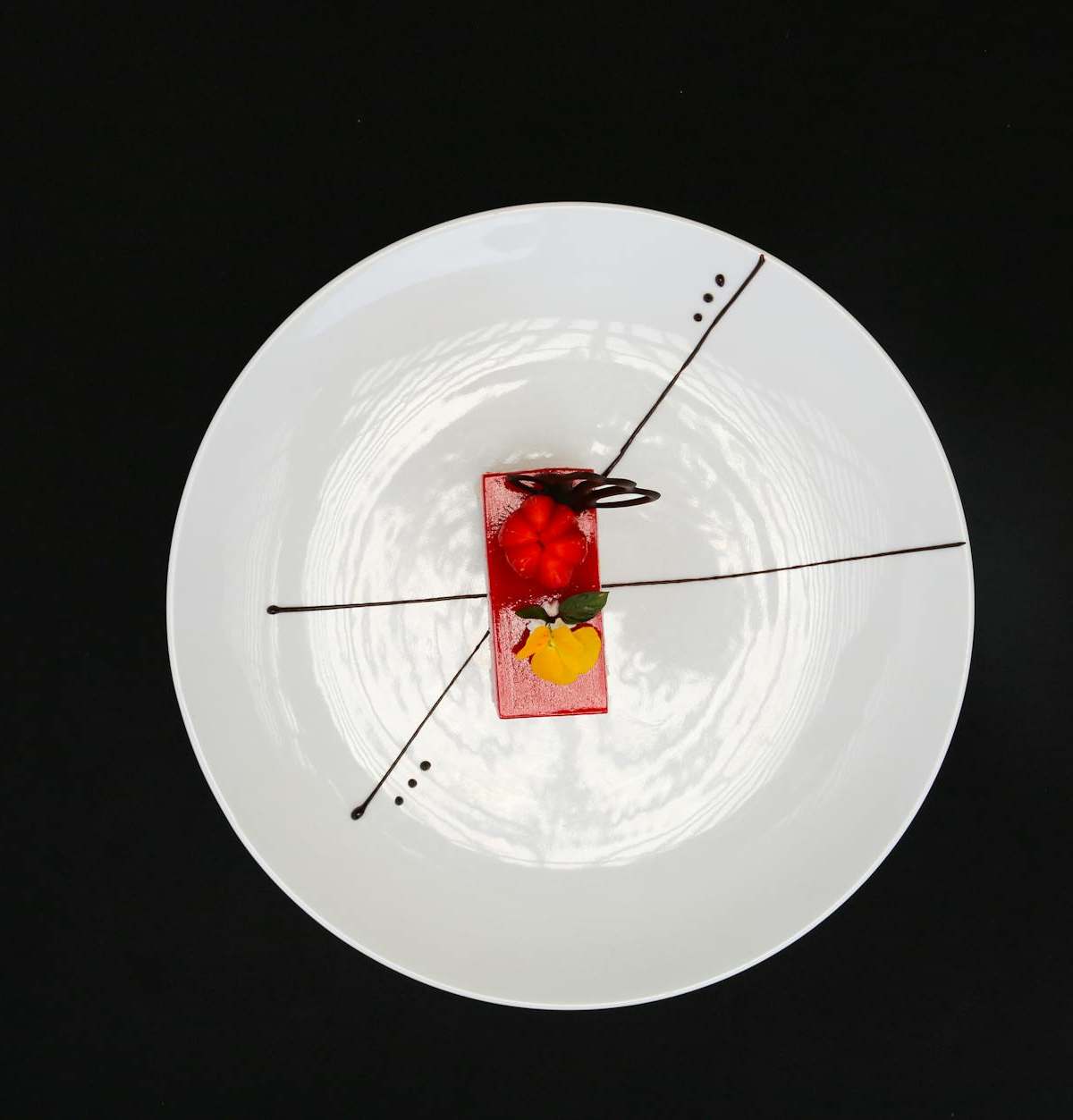 Artistic dessert arrangement on a white plate with minimalist chocolate garnish.