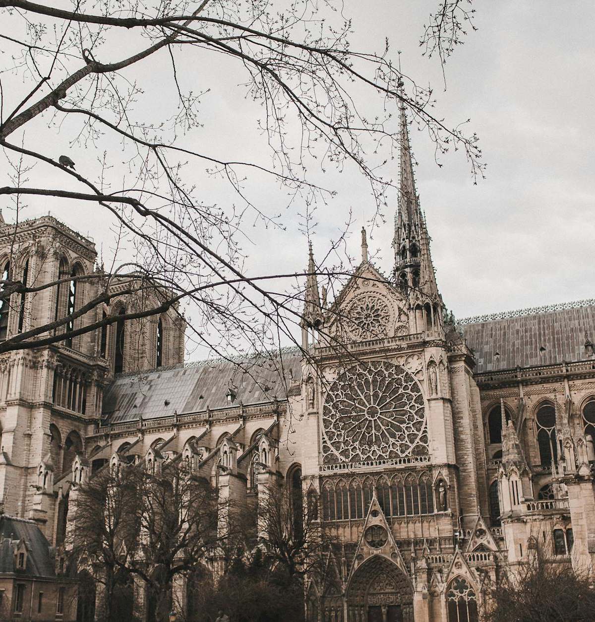 Stunning view of Notre Dame Cathedral in Paris showcasing Gothic architecture and historic details.