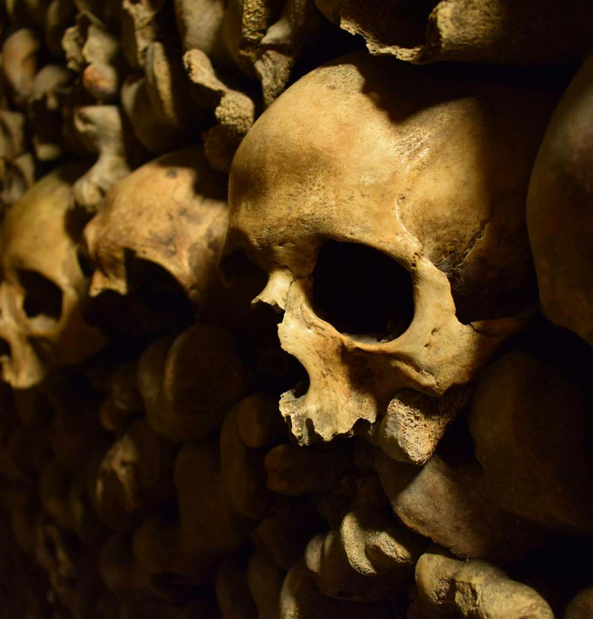 Close-up of skulls in Paris Catacombs, creating an eerie yet fascinating atmosphere.